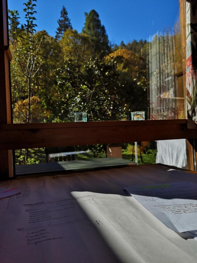 Ferienwohnung Schmidt - Natur Und Ruhe Schwaigen エクステリア 写真