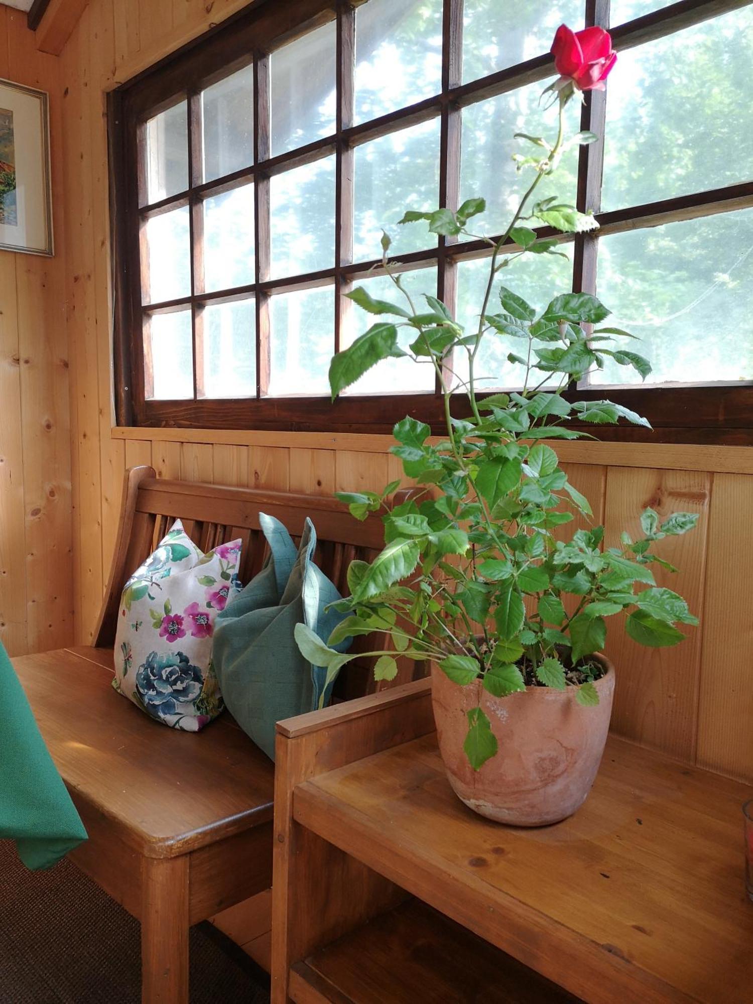 Ferienwohnung Schmidt - Natur Und Ruhe Schwaigen 部屋 写真